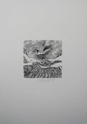 Верхоланцев М.М. 12 книжных знаков. 1990-2000-е.
